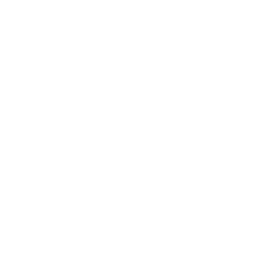 Savant Elite Ambassador 2026